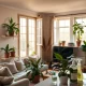Natural home detox strategies for cleaner indoor air with plants and ventilation
