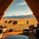 Luxurious travel destination in Mongolia featuring exclusive yurt camps on the pristine steppe